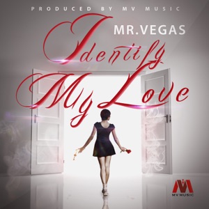 Identify My Love-Mr. Vegas