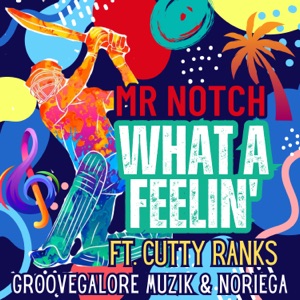 What a Feelin-Mr.Notch