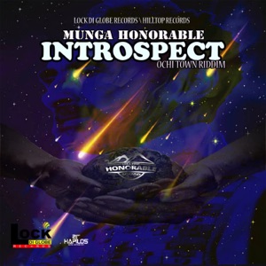 Introspect-Munga Honorable