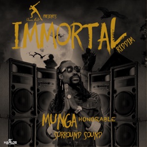 Surround Sound-Munga Honorable