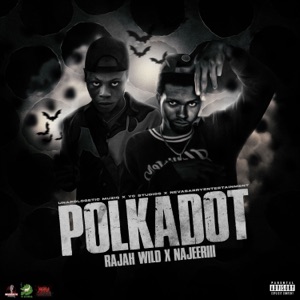 Polkadot-Najeeriii 