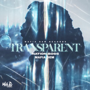 Transparent-Nation Boss 