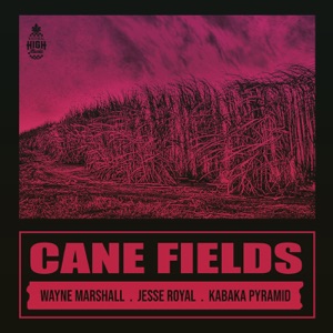 Cane Fields - Natural High Music