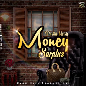 Money Surplus - Prettii neish