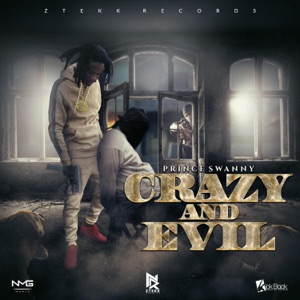 Crazy and Evil-Prince Swanny