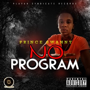 No Program-Prince Swanny