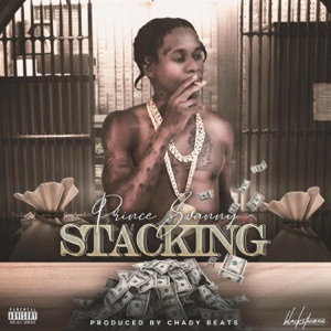 Stacking-Prince Swanny