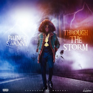 Through the Storm-Prince Swanny