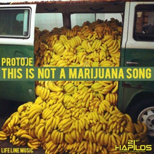 This Is Not a Marijuana Song-Protoje