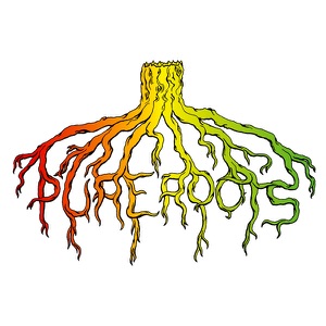 Jah the Dubbest-Pure Roots