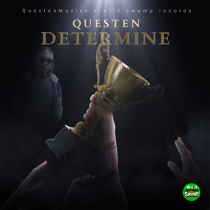 Determine-Questen