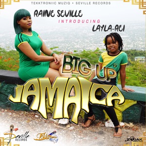 Big up Jamaica - Raine Seville 