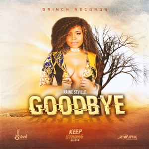 Goodbye - Raine Seville