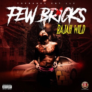 Few Bricks-RajahWild