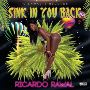 Sink in You Back-Ricardo Rawal