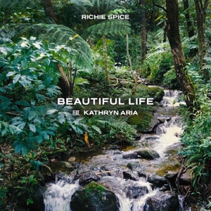 Beautiful Life-Richie Spice