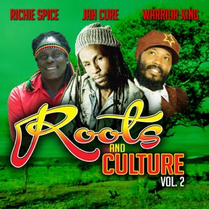 Richie Spice - Roots and Culture, Vol.2