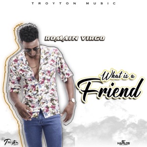 What is a Friend-Romain Virgo