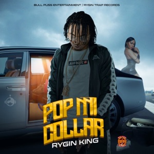 Pop Mi Collar-Rygin King