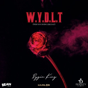 W.Y.D.L.T