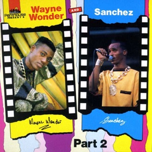 Sanchez  - Wayne Wonder & Sanchez, Pt. 2