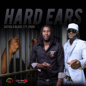 Hard Ears-Sativa D Black1