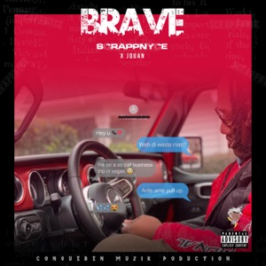 Brave-ScrappNyce