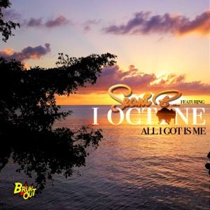 All I Got Is Me - Seani B