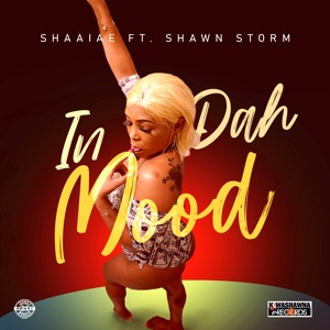 In Da Mood-Shaaiae