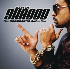 Best of Shaggy The Boombastic Collection