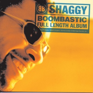 Shaggy - Boombastic