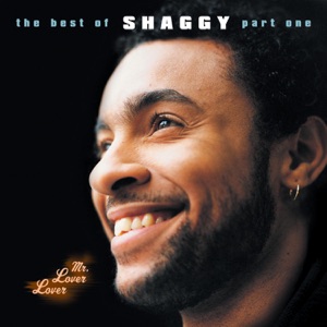 Mr. Lover Lover The Best of Shaggy, Pt. 1