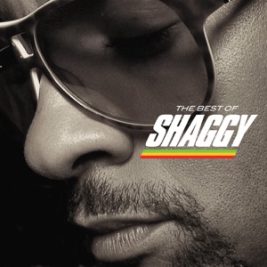 The Train Is Coming-Shaggy