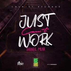 Just Cant Work-Shaneil Muir