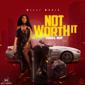 Not Worth It-Shaneil Muir