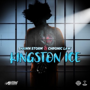 Kingston Ice-Shawn Storm 