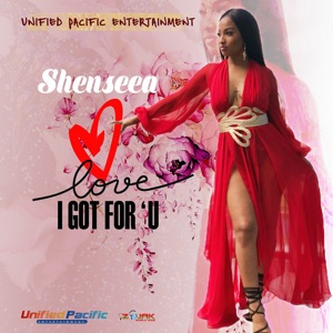 Love I Got for U-Shenseea