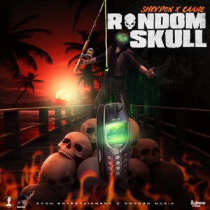 Random Skull-Shevdon 