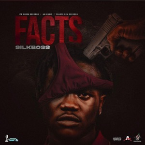 Facts-Silk Boss