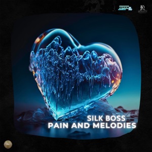 Pain and Melodies-Silk Boss