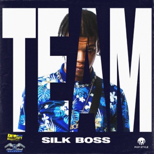 Team-Silk Boss