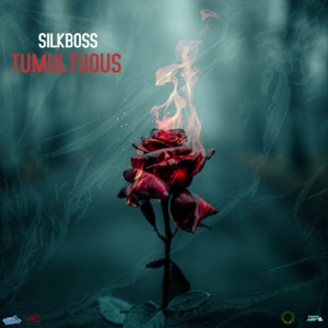 Tumultuous-Silkboss