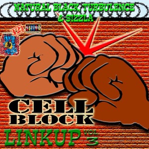 Cell Block Linkup, Vol. 3