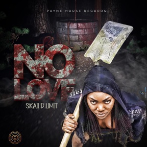 No Love - Skaii D Limit