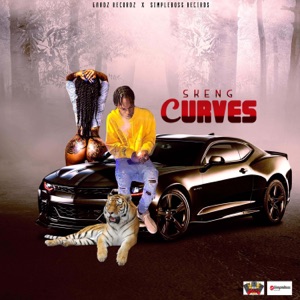 Curves-Skeng