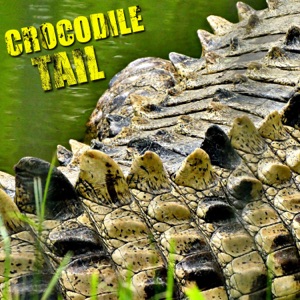 Crocodile Tail-Skillibang