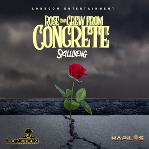 Rose That Grew from Concrete-Skillibeng