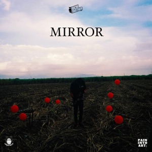 Mirror-Skippa