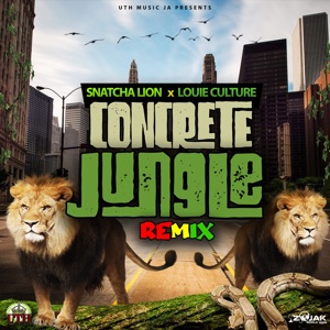 Concrete Jungle Remix-Snatcha Lion 