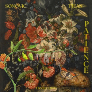 Patience-Sonovic 